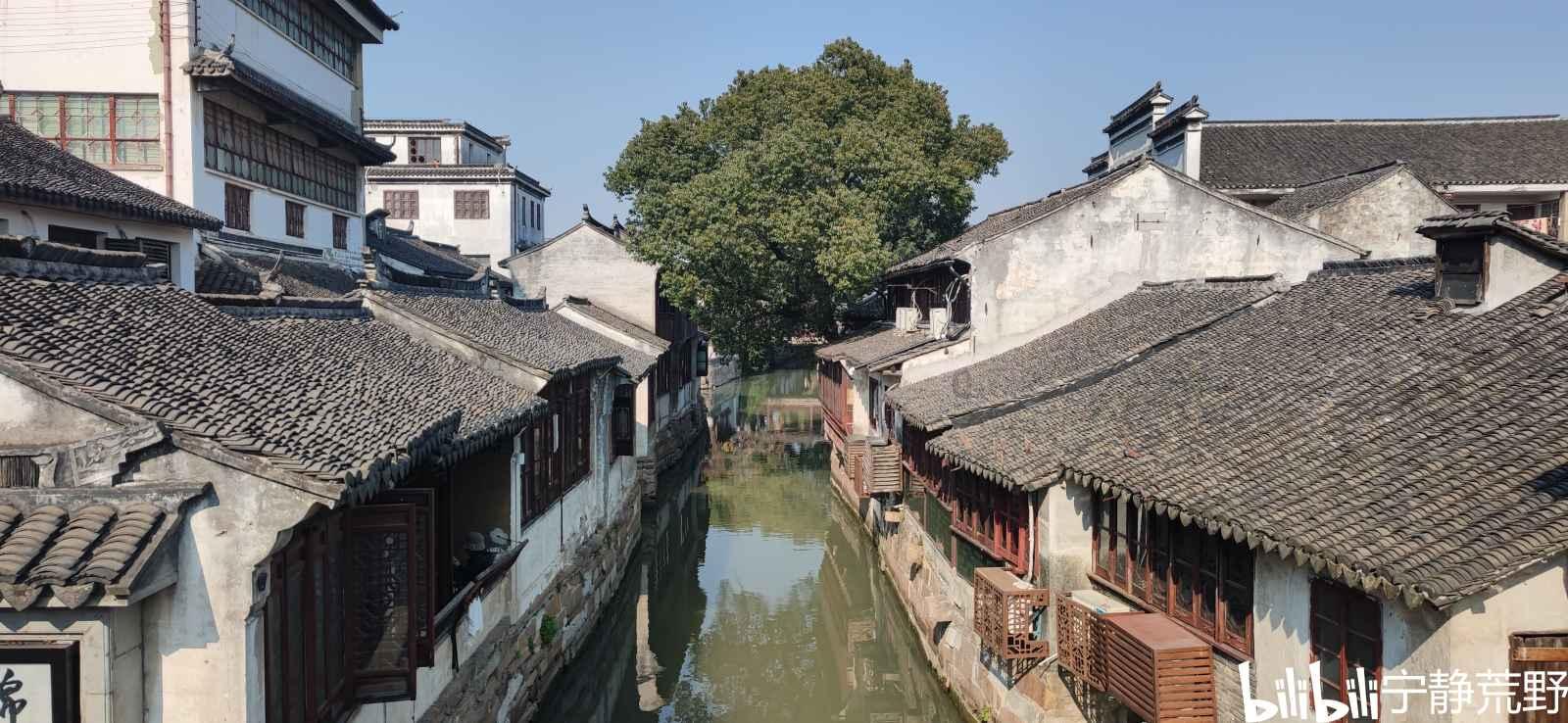 探索知识星球为什么越来越多的人不想结婚了,解锁无限智慧